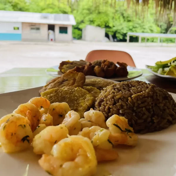Gastronomía Local y Sostenible