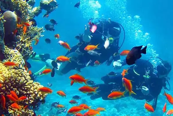 Mini curso de buceo