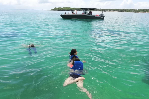 ISLAND TOUR DAY