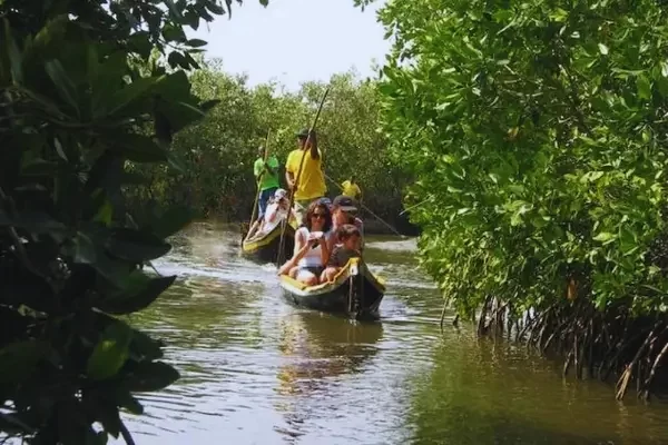 TOUR MANGLAR ISLA GRANDE